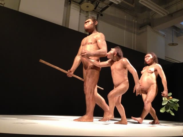 グレートジャーニー人類の旅 国立科学博物館特別展 グレートジャーニー人類の旅 国立科学博物館特別展